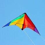 tweelijnsstuntskite Delta Basic Rainbow 117 cm