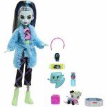 Monster High Creepover Party Frankie Stein