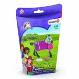 Schleich Hose Club Veulen + Accessoires