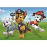 Clementoni Supercolor Puzzel Paw Patrol 2x20 Stukjes