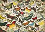 legpuzzel Butterfly Poster 1000 stukjes_