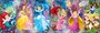 puzzel Panorama Disney Princess 1000 stukjes_