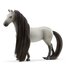 Schleich Horse Club Startset Sofia en Dusty_