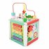 Fisher Price 5in1 Houten Activiteitenkubus_