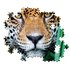 Clementoni High Quality Collection Puzzel Jaguar 500 Stukjes_