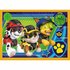 Trefl Paw Patrol 4in1 Puzzel 35-70 Stukjes_